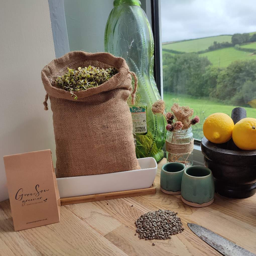a hemp sprouting bag filed with sprouts sit in a kitchen window