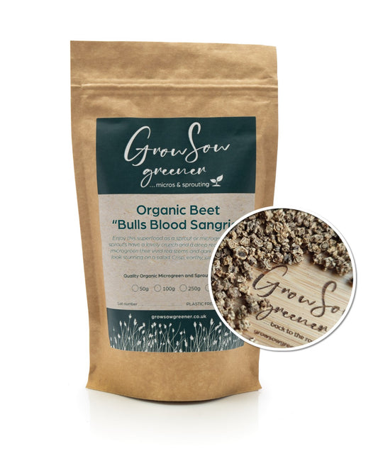 Organic Beet Microgreen & Sprouting Seeds | Bulls Blood Sangria