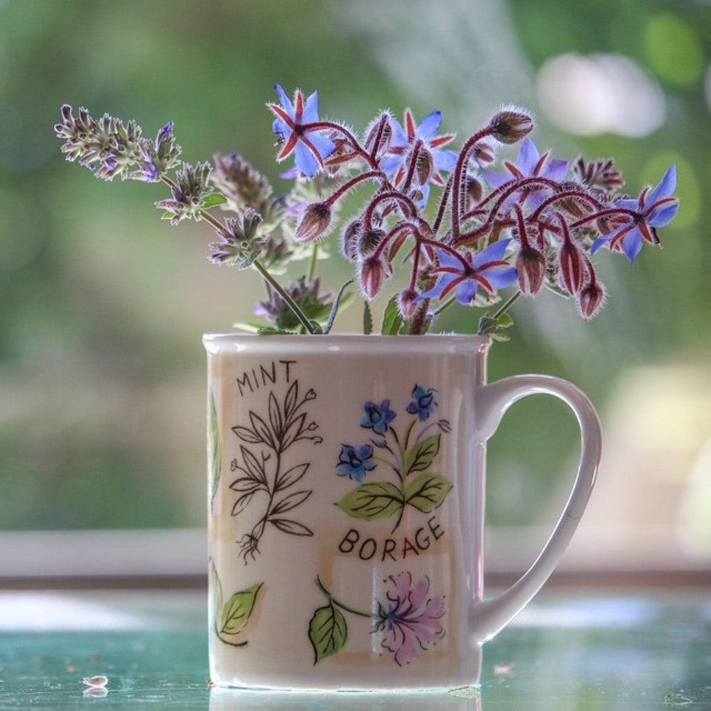classic blue cut borage flowers in a mug on the windowsill