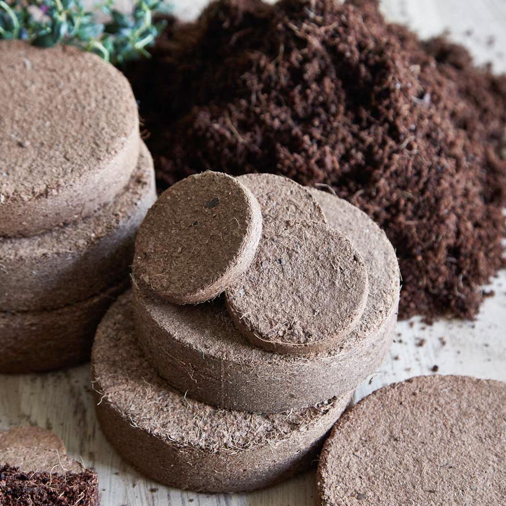 60mm Coco Coir Discs – Triple-Washed, Fine Tilth, Low EC | Peat-Free & Bio