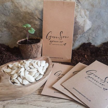 three biodegradable seed packets and a wooden bowl filled with courgette seeds. A radish seed grows in the background