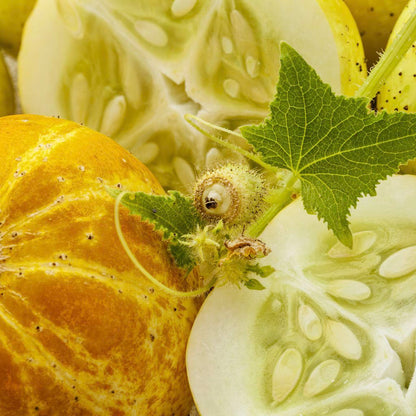 Cucumber Seeds - Crystal Lemon