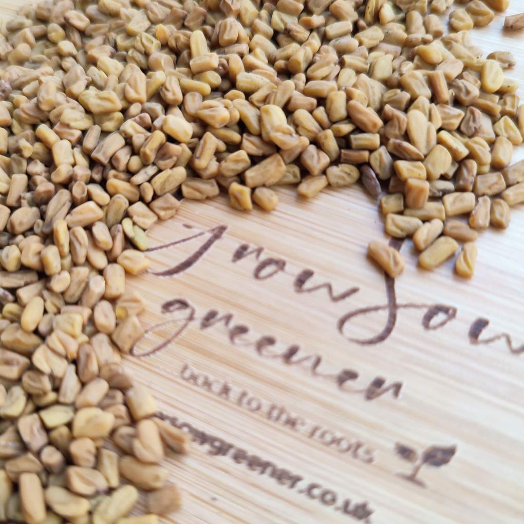 organic fenugreek sprouting seeds uk with company logo
