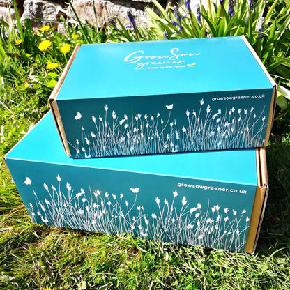 organic biodegradable herb kit boxes in the garden