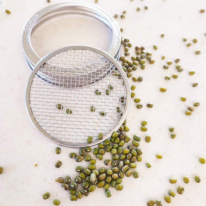 Sprouting Jar Lids | Large Mesh Stainless Steel