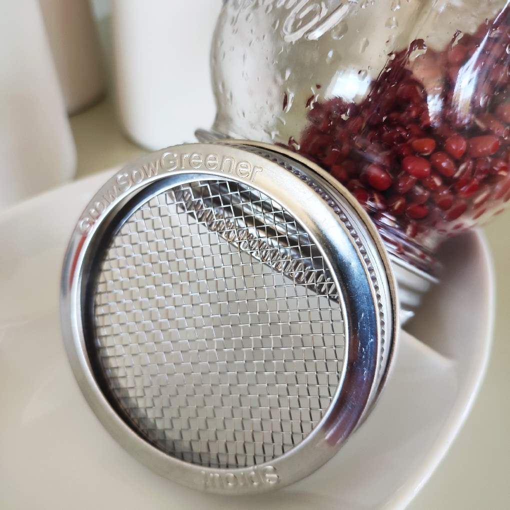Sprouting Jar Lids | Large Mesh Stainless Steel