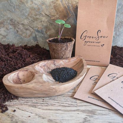 basil seeds in a bowl with compost a coco coir biodegradble pot and some seed packets on a wooden background
