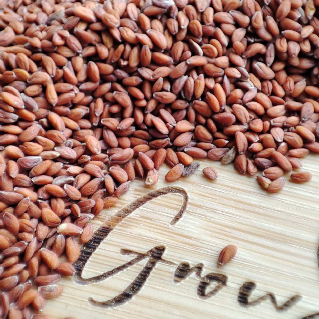 organic cress microgreen seeds on a wooden logo