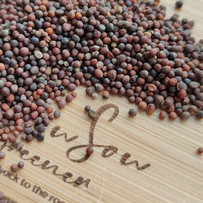 Organic Red Kohlrabi | Pink Kale | Microgreen and Sprouting Seeds