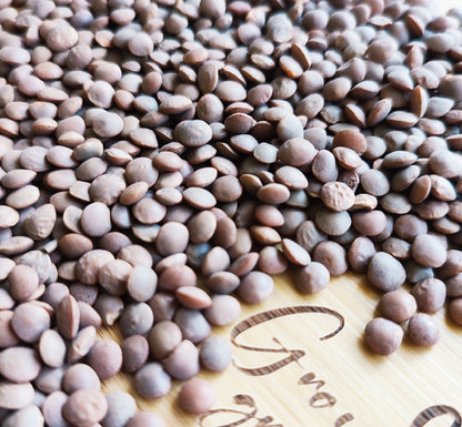 Organic Red Lentil Sprouting Seeds