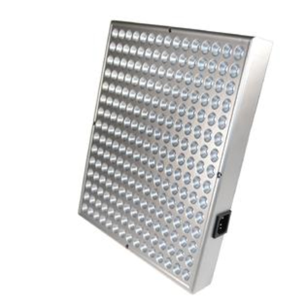 30W Red Blue Square LED Light Panel - 31cm x 31cm