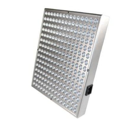 30W Red Blue Square LED Light Panel - 31cm x 31cm