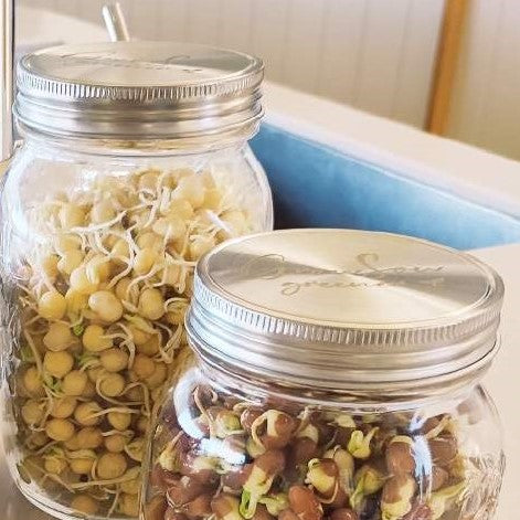 mason jar for sprouting