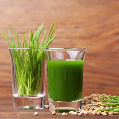 wheatgrass seeds and juice