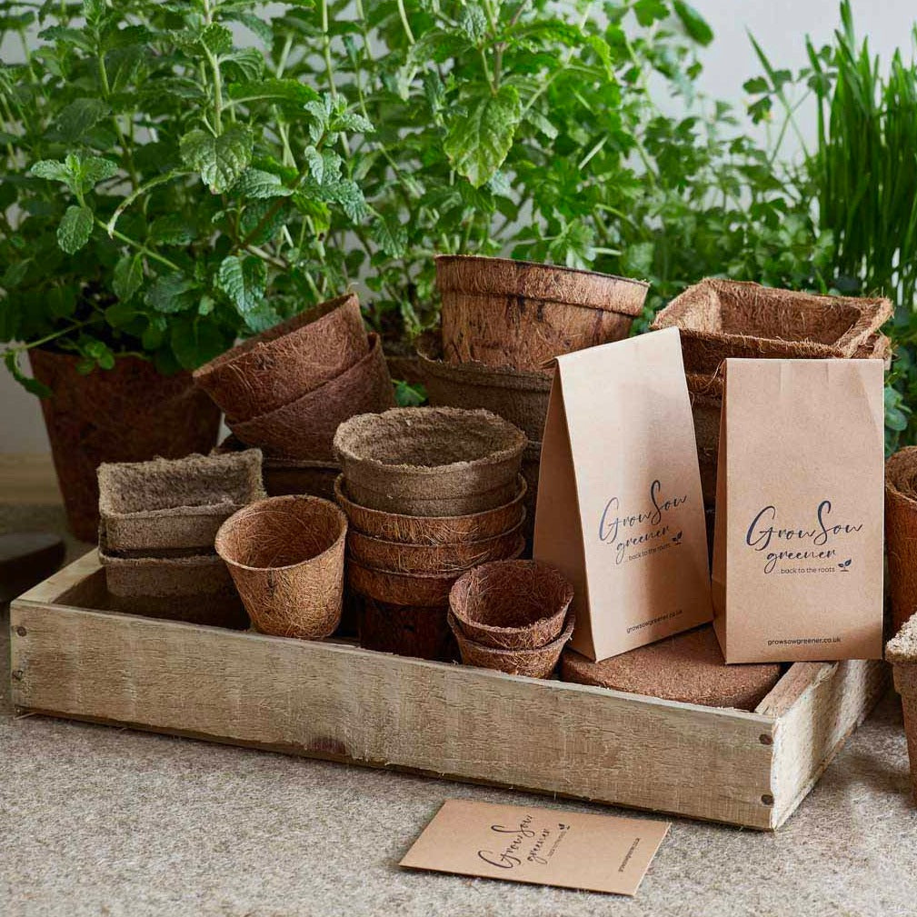 wooden seed tray holding biodegradable pots